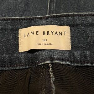 Lane Bryant Deep Blue Denim Jeans 26 S NWOT SLIM/straight leg